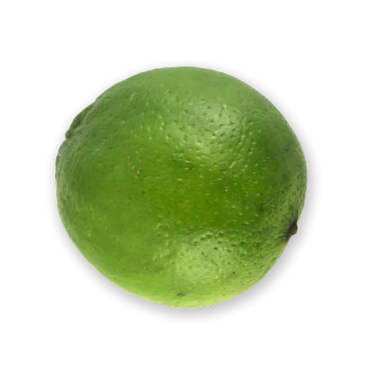 Lemon 1 EACH